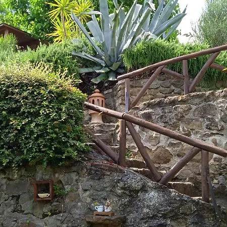 B&B Desiata-3